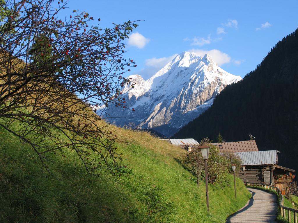 Chalet Pian Campitello di Fassa Rom bilde