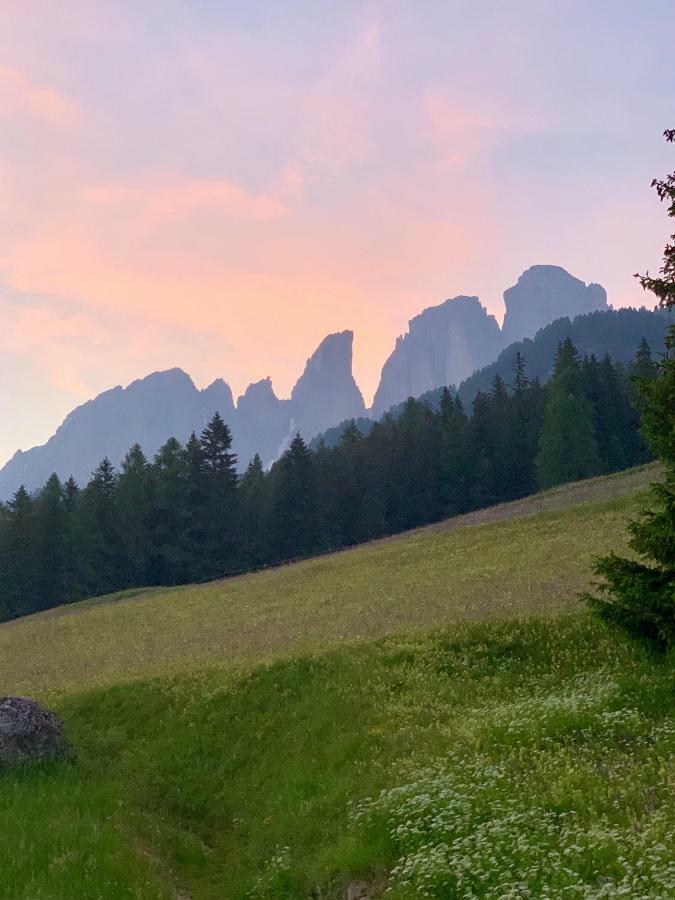 Chalet Pian Campitello di Fassa Eksteriør bilde