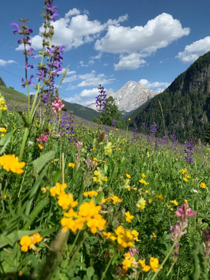 Chalet Pian Campitello di Fassa Eksteriør bilde